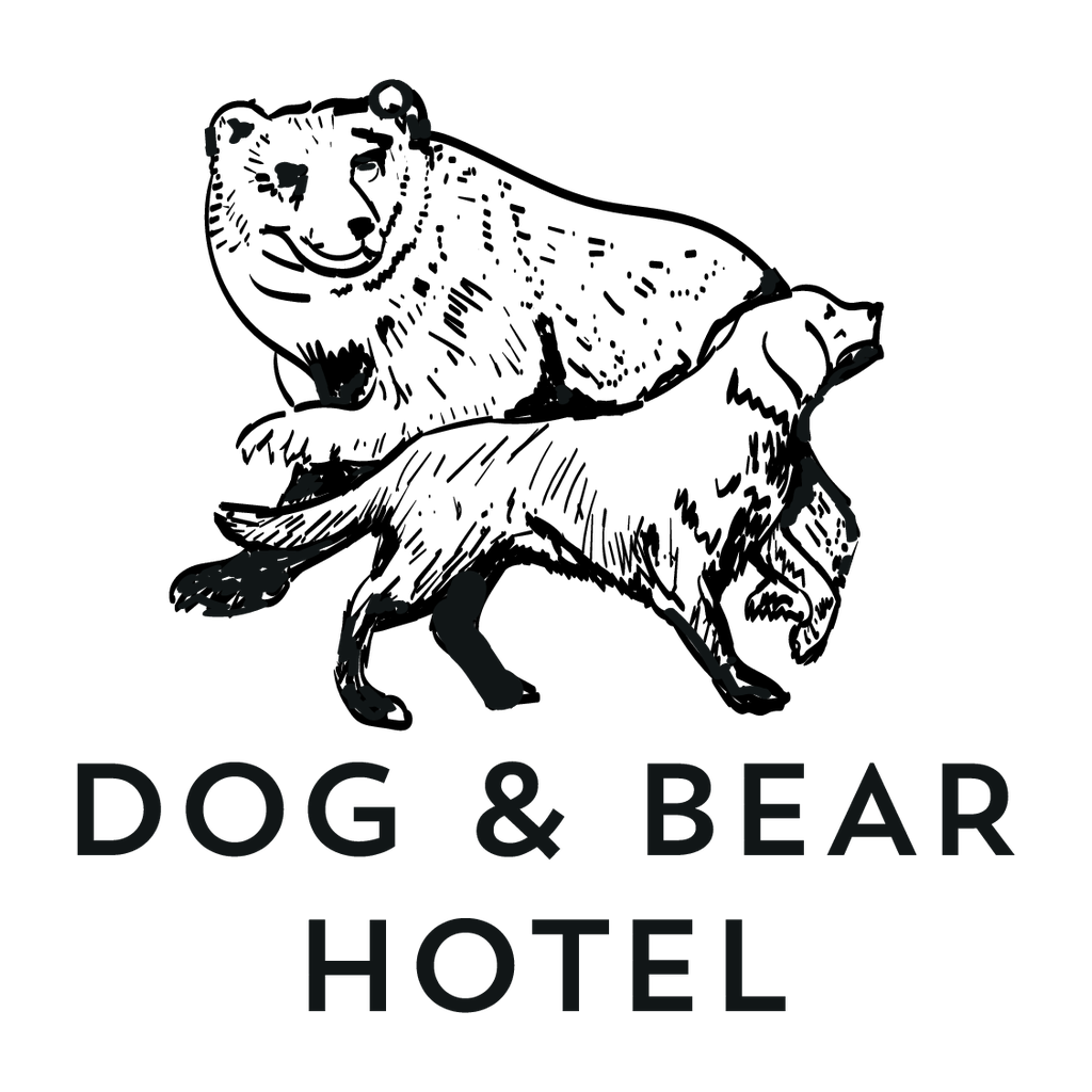 Dog & Bear Hotel logo, 1024 by 1024